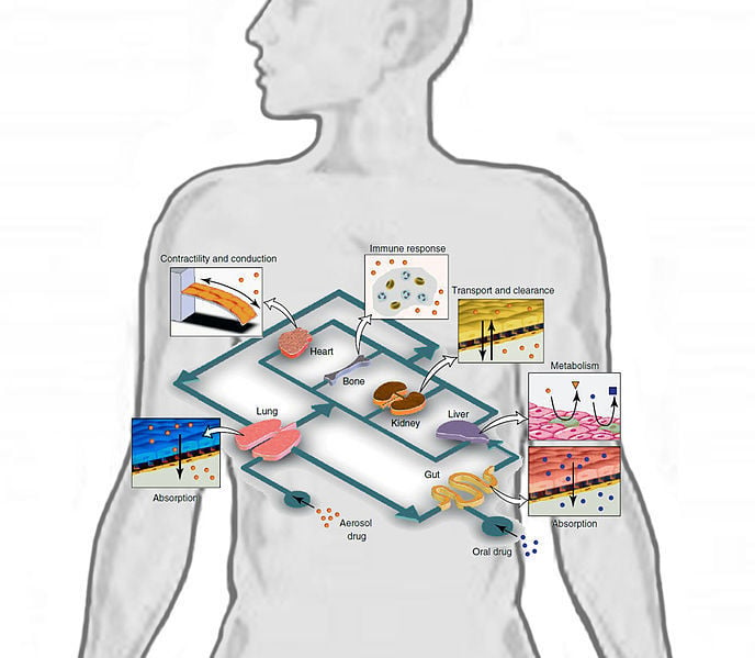 Conceptual Schematic of a Human-on-a-chip