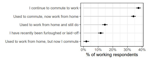 Work from Home Report